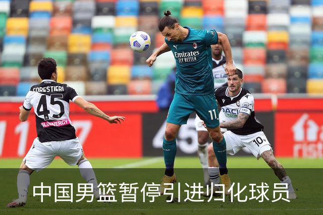 中国男篮暂停引进归化球员